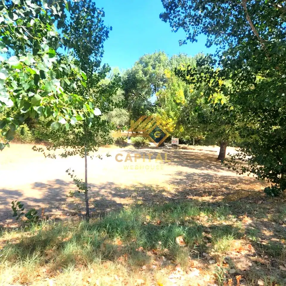 Terreni e lotti in vendita a Calle Río Vero, imagen 36