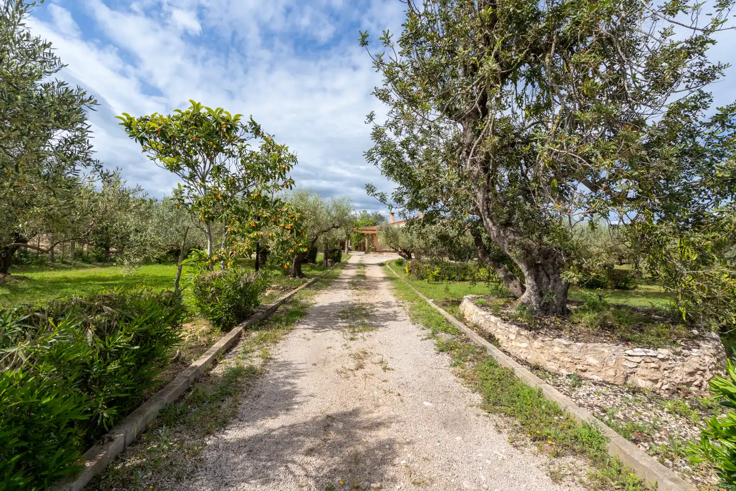 Houses for sale in Aldover  with Air Conditioner, Private garden and Terrace
