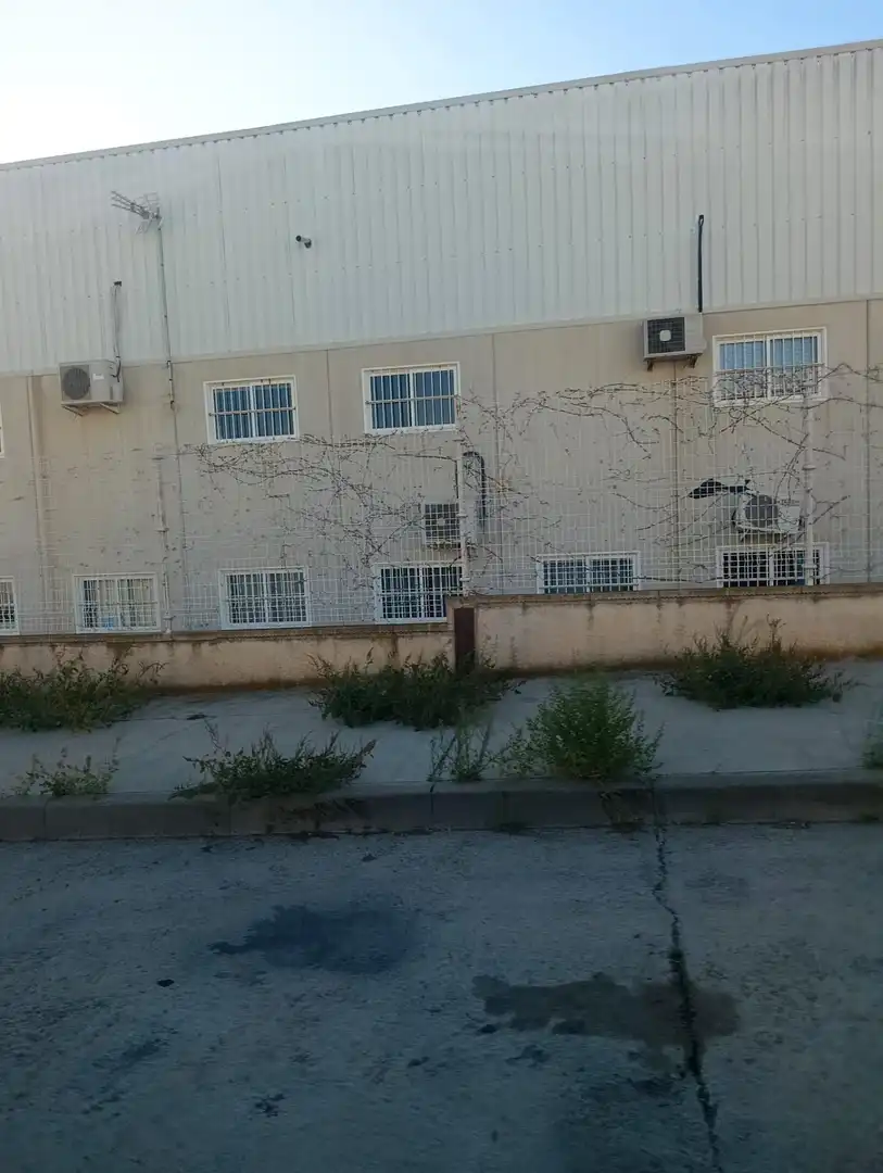 Industrial land for sale in Bullas, Murcia