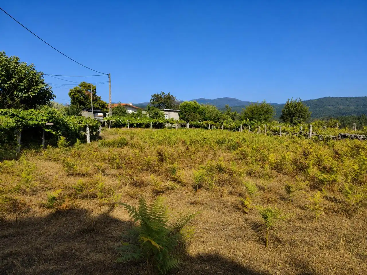 Casa rústica en venda a Pazos de Borbén, imagen 12