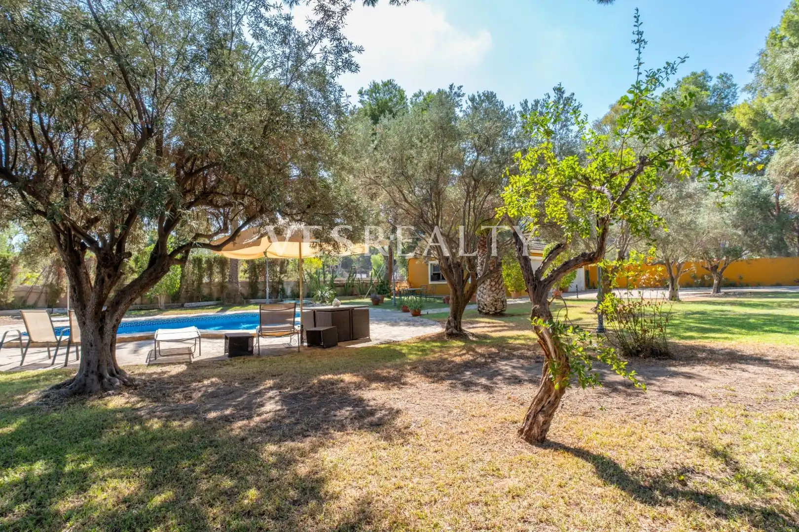 Garden of Houses for sale in Alicante / Alacant