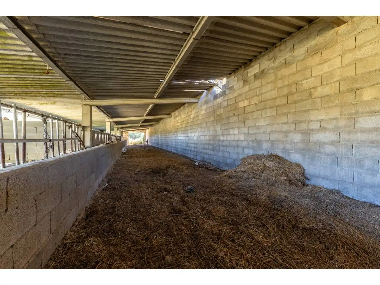 Terreno rustico in vendita a Llucmajor pueblo, imagen 76