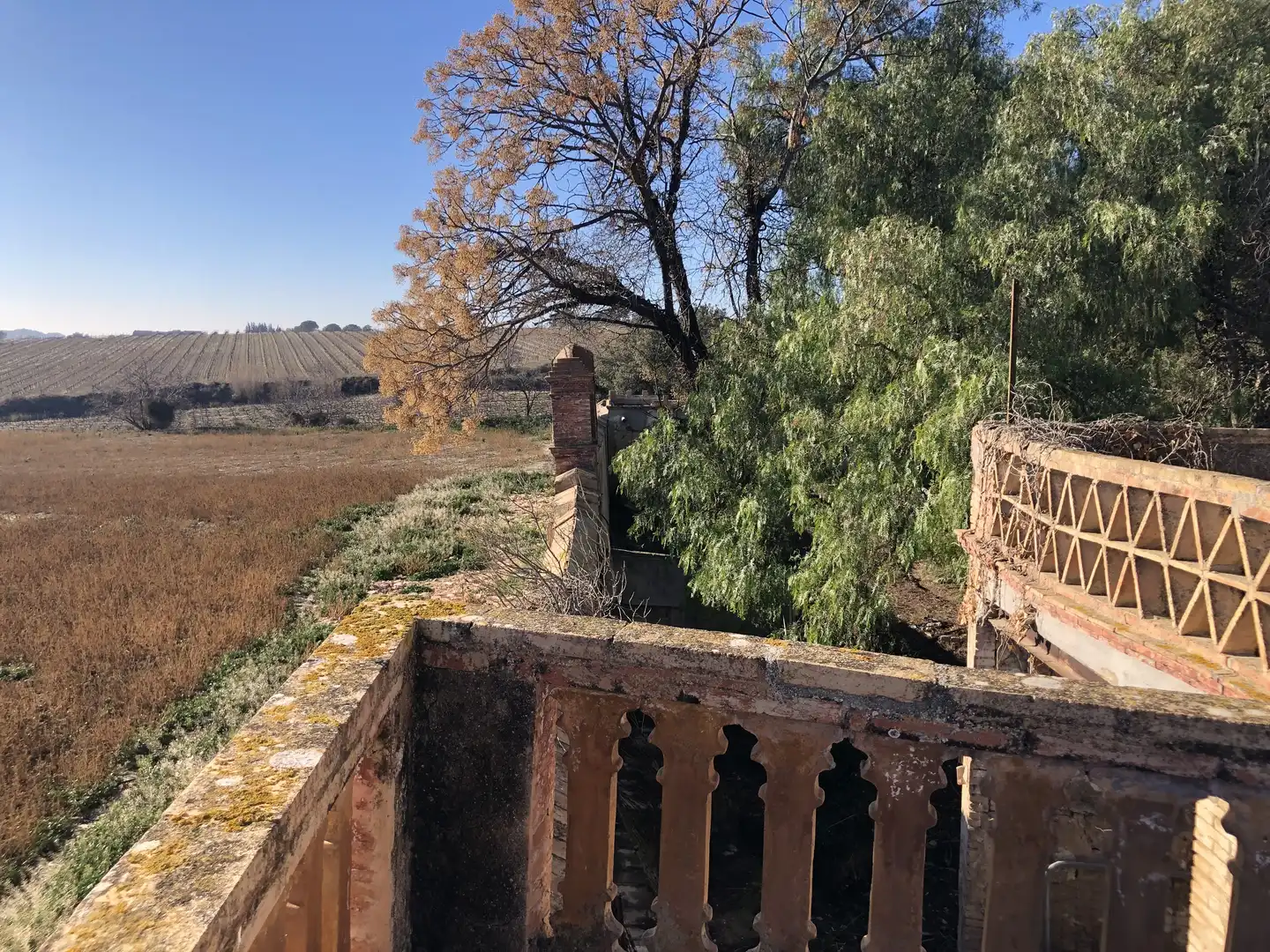 Vista exterior de Finca rústica en venta en Castellví de la Marca