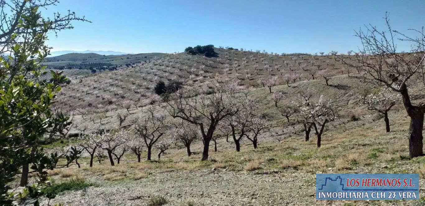 Finca rústica en venta en Vélez-Rubio