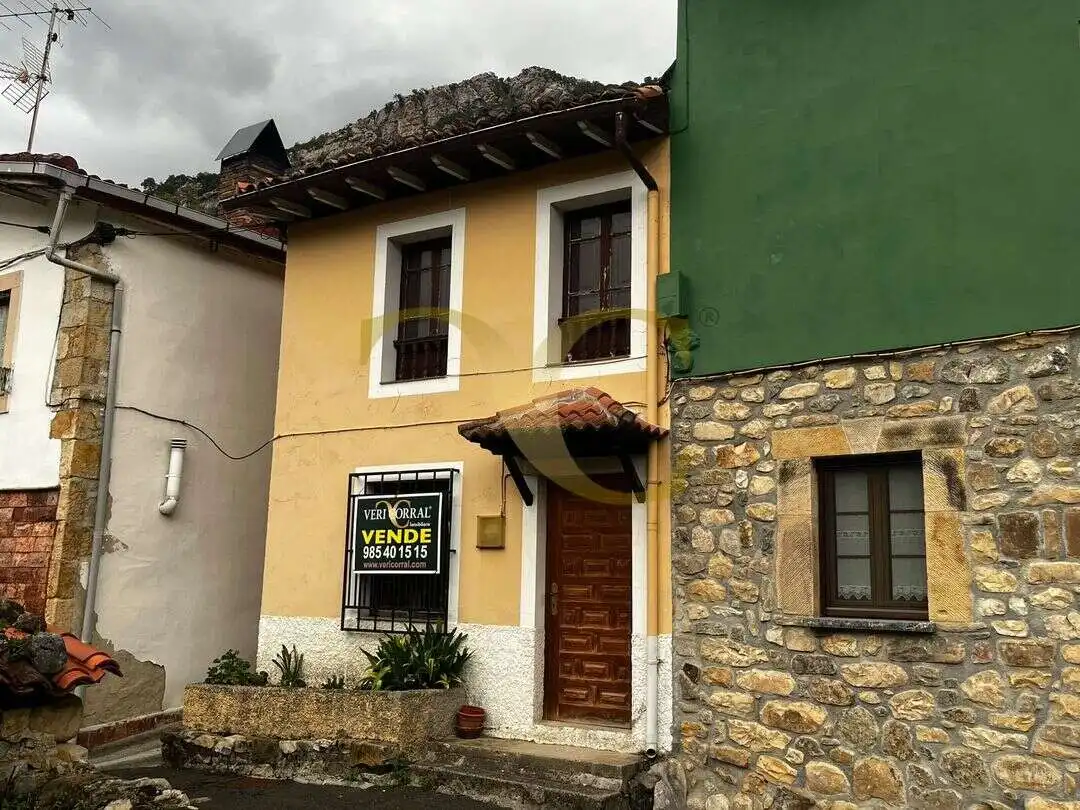 Vista exterior de Casa o chalet en venta en Cabrales