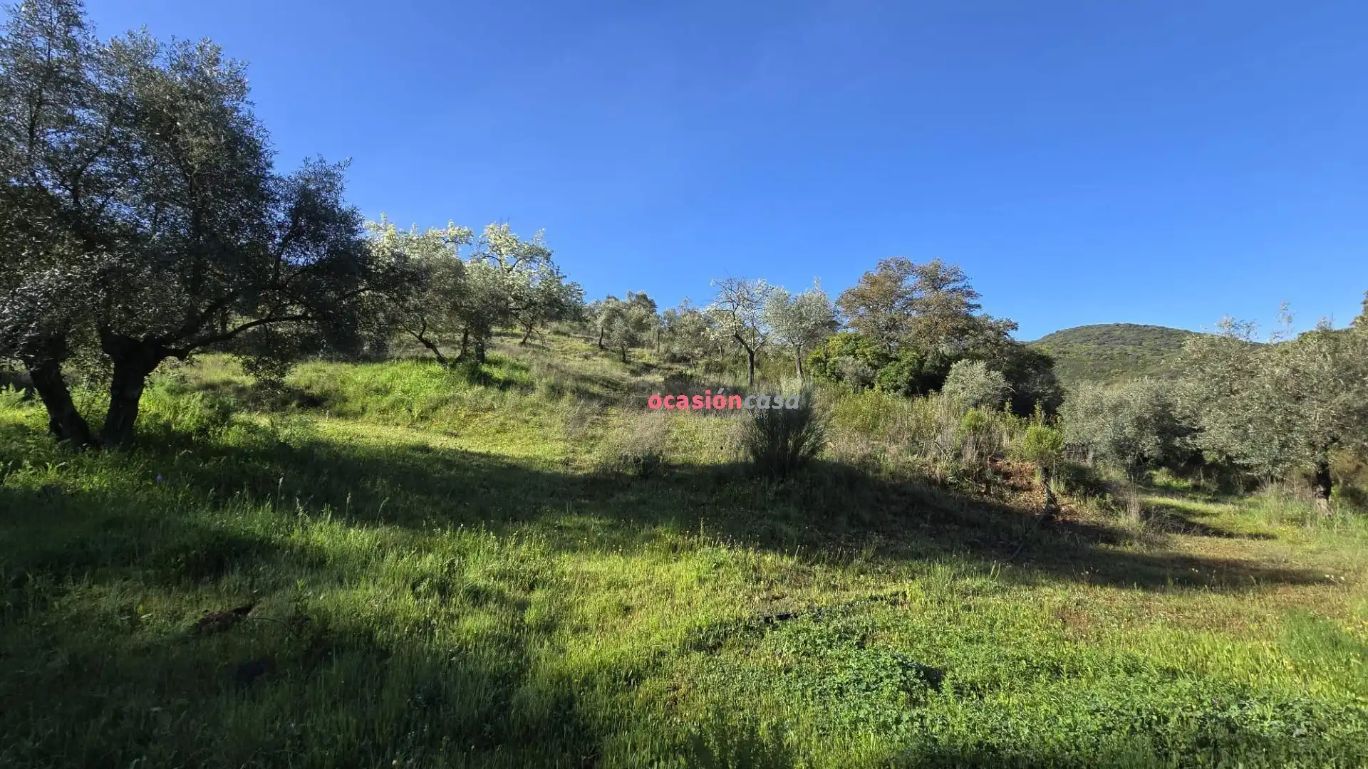 Casa o chalet en venta en Pozoblanco con Jardín privado, Terraza y Trastero
