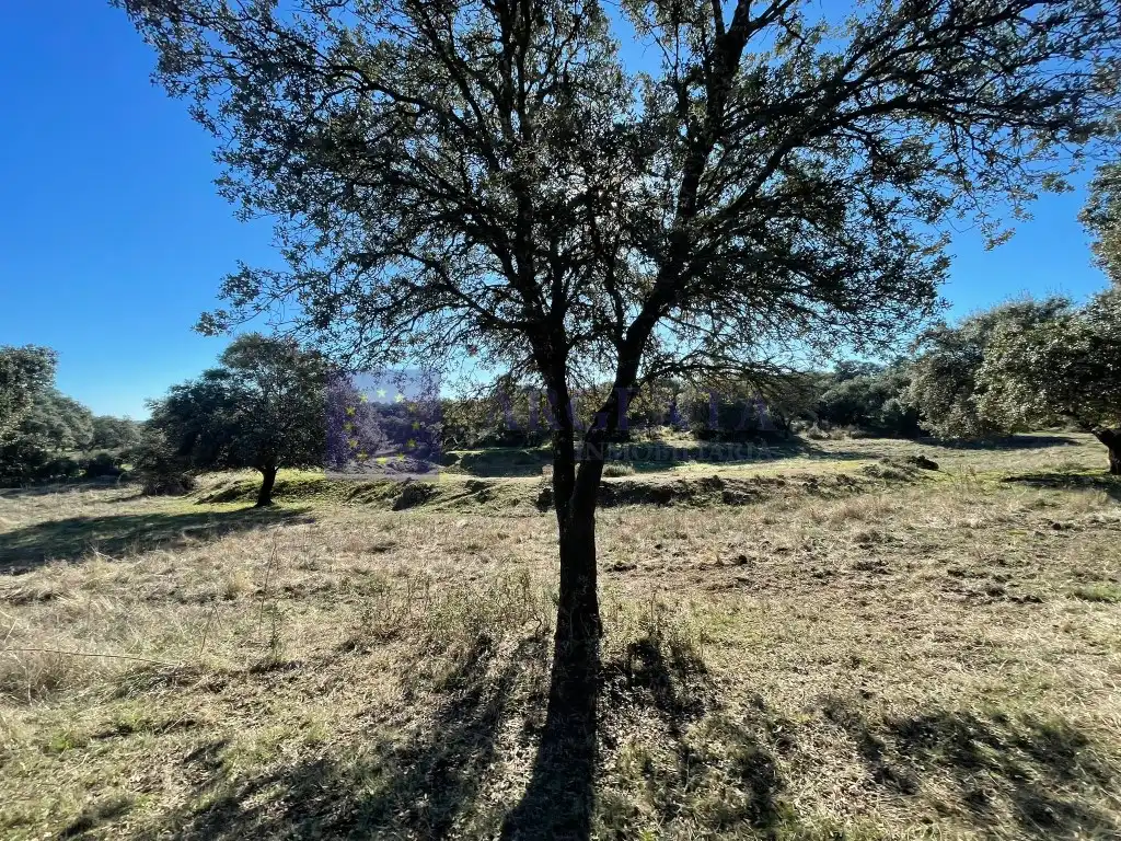 Casa en venda a Miajadas, imagen 6