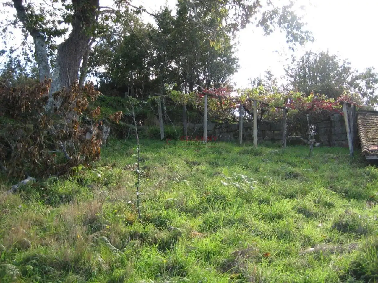 House with garden for sale in CHAODARCAS, imagen 2