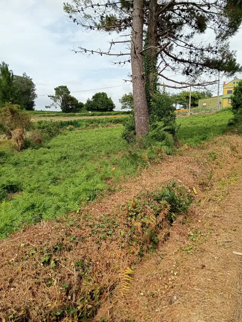 Residential for sale in Muxía