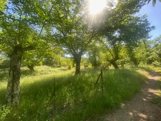 Terreni e lotti in vendita a Fuenteheridos, imagen 21