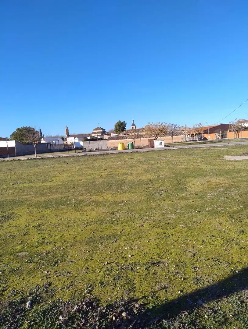 Terrenos y solares en venta en Calle CARRION, imagen 15