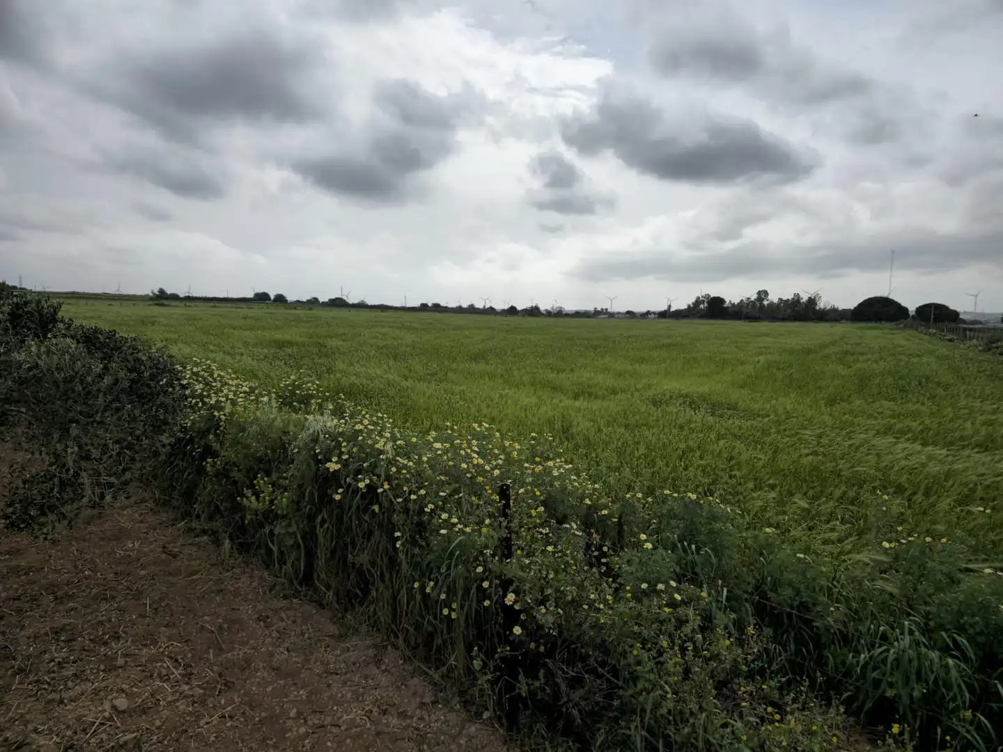Finca rústica en venta en Puerto Real con Trastero