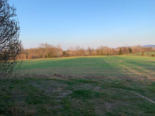 Finca rústica en Venta en Pinós