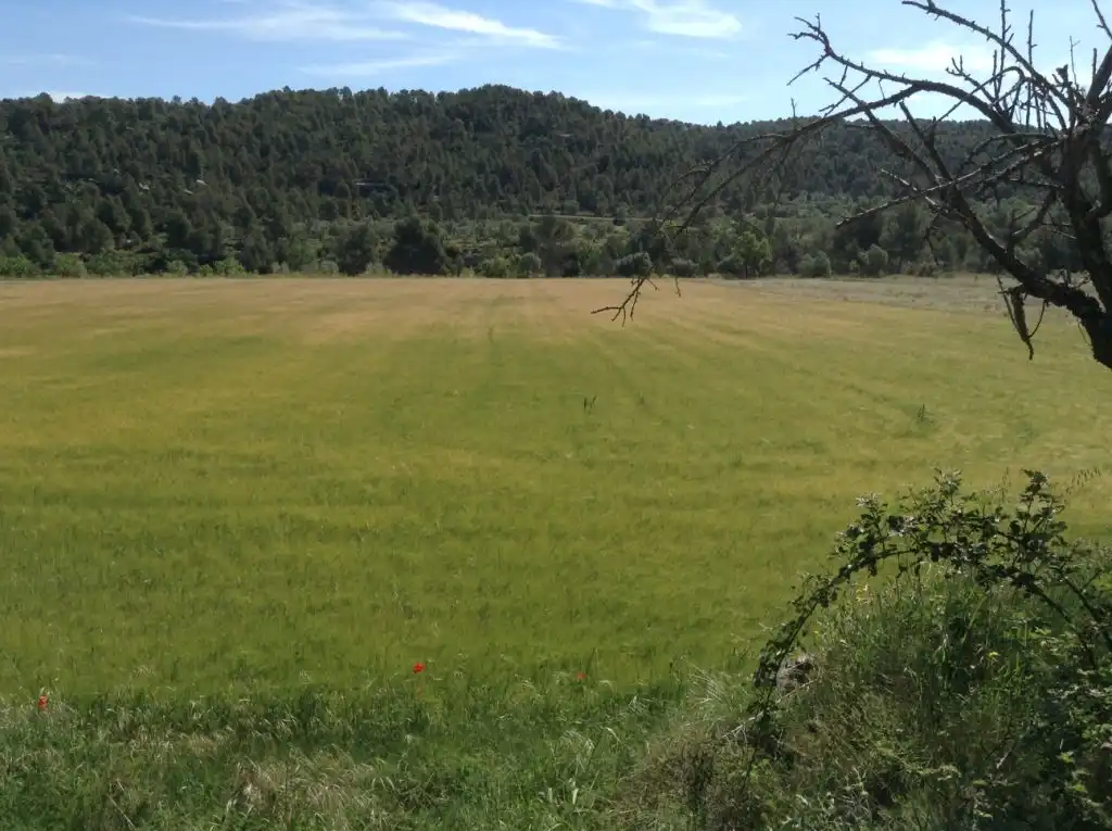 Terreni e lotti in vendita a Arens de Lledó