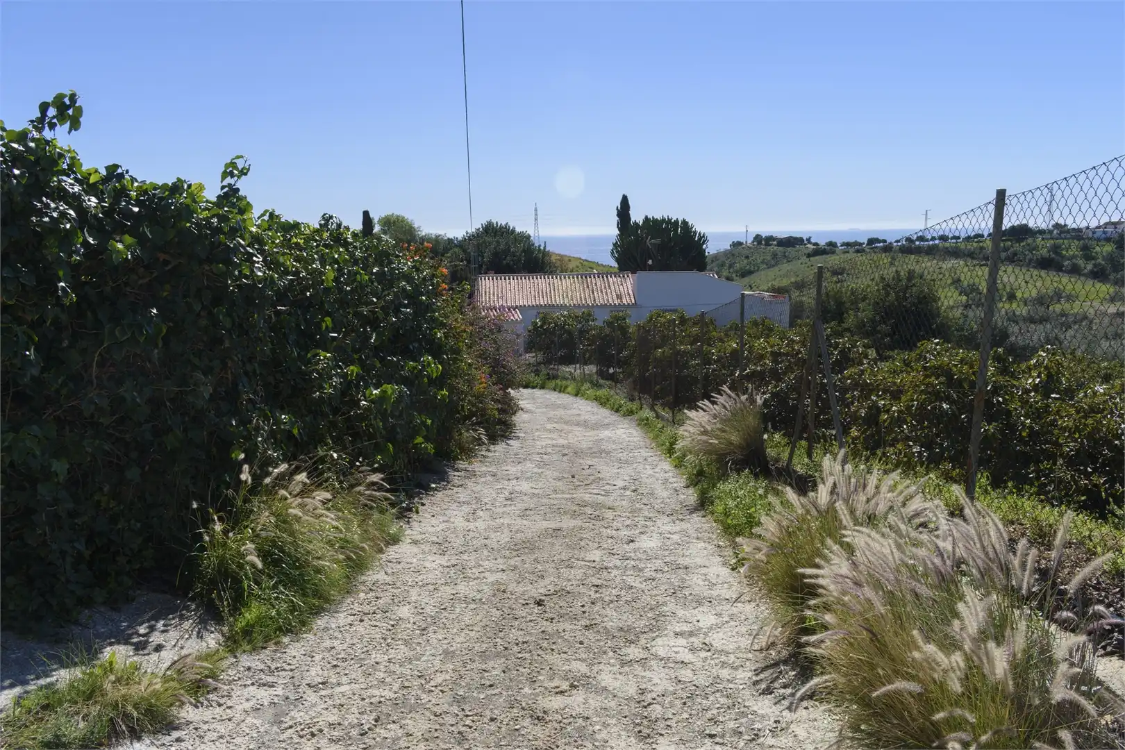 Exterior view of Houses for sale in Vélez-Málaga  with Private garden, Terrace and Swimming Pool