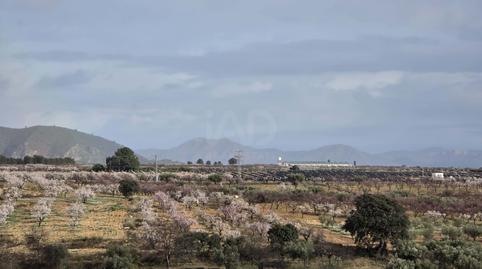 Foto 3 de Edificio en venta en Socovos, Albacete