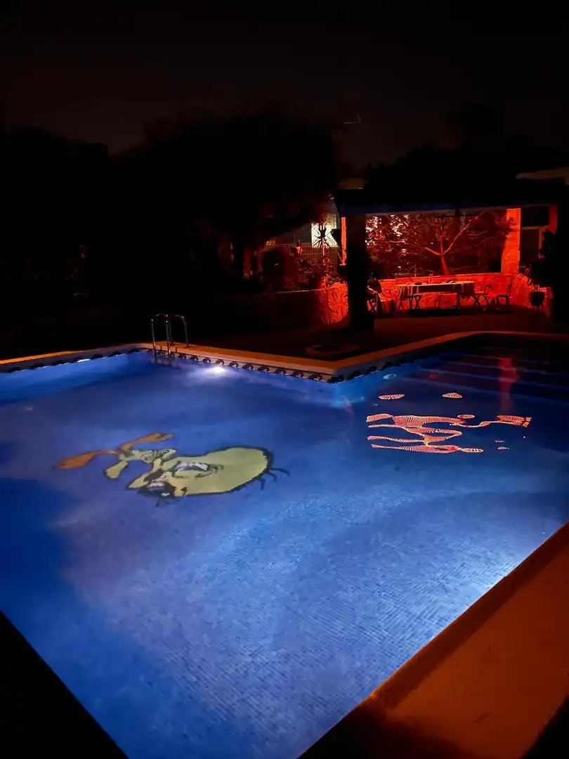 Piscina de Casa o xalet en venda en Molina de Segura amb Aire condicionat, Calefacció i Jardí privat