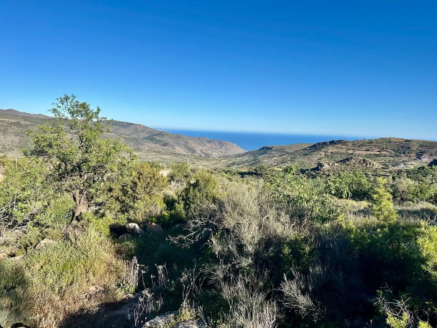 Terreno en venta en Felix