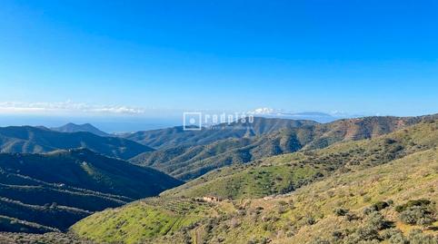 Photo 3 of Industrial land for sale in Lagar Brun Bajo, Olías, Málaga