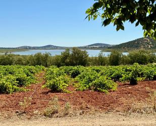 Country house for sale in Valdepeñas
