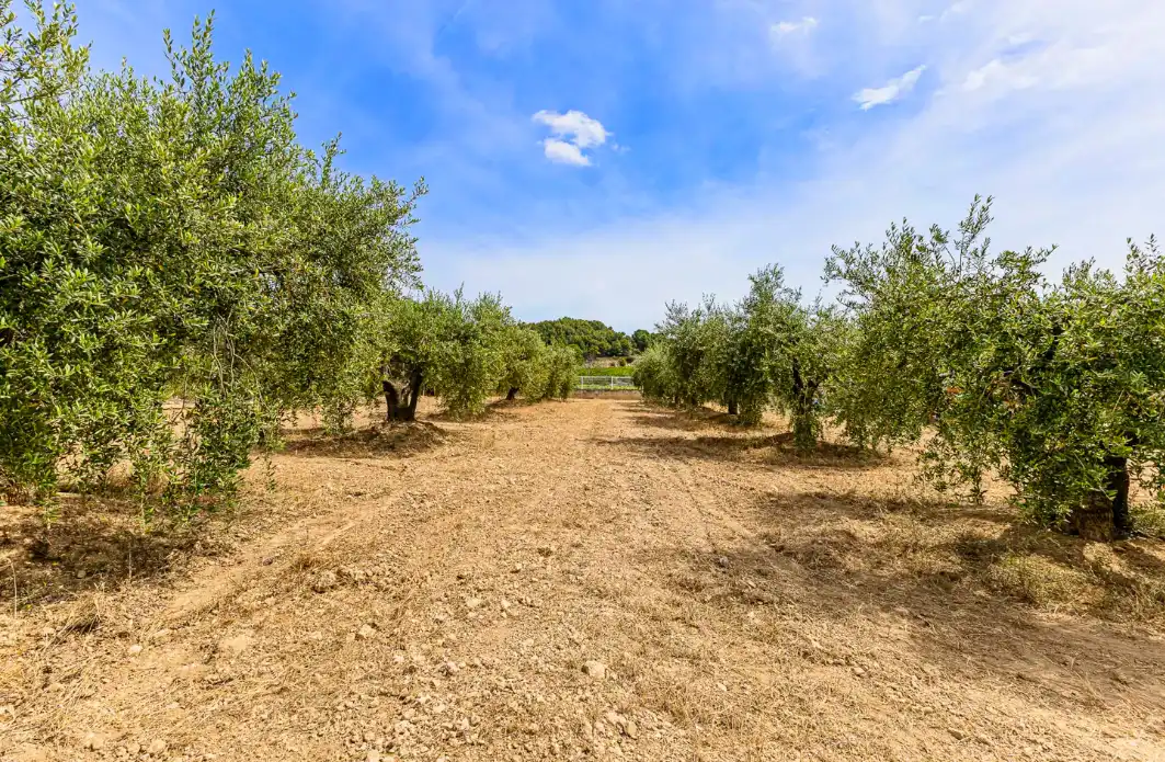Detached house with garden for sale in Plaça de la Vila, imagen 58