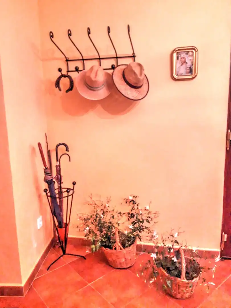 Jardín de Finca rústica en venta en Benamargosa con Aire acondicionado, Jardín privado y Terraza