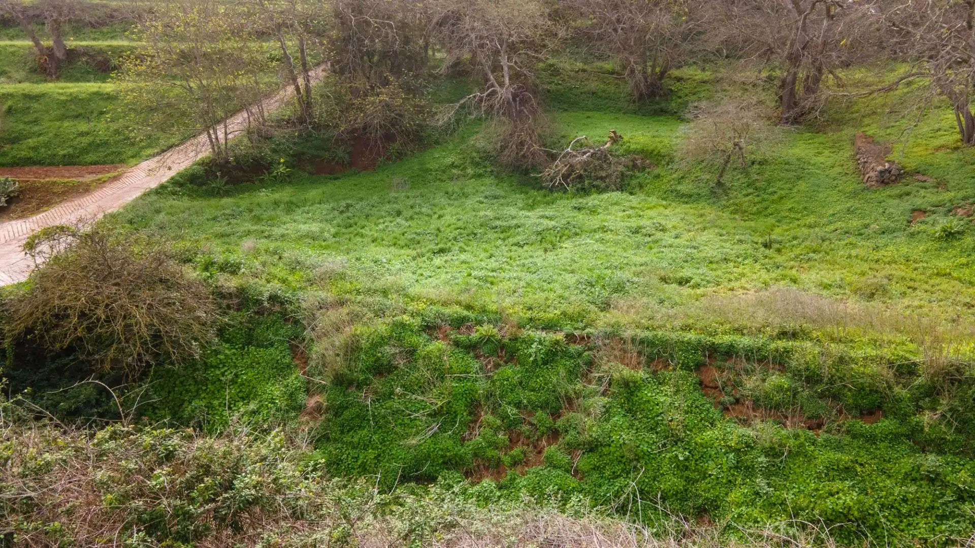 Rustikales Grundstück zum Verkauf in La Esperanza 17, imagen 38