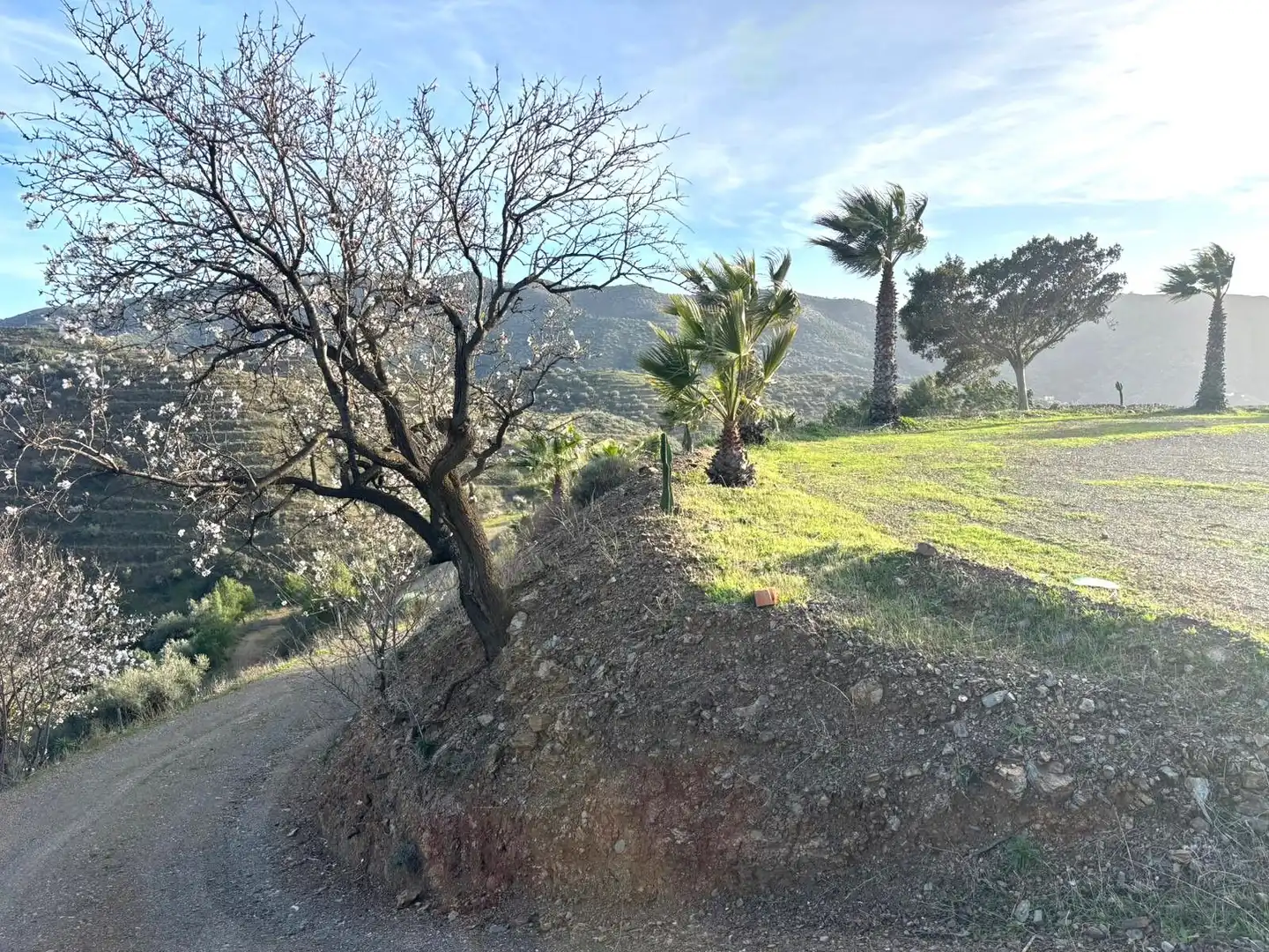 Finca rústica en venda en Sedella amb Jardí privat, Terrassa i Traster