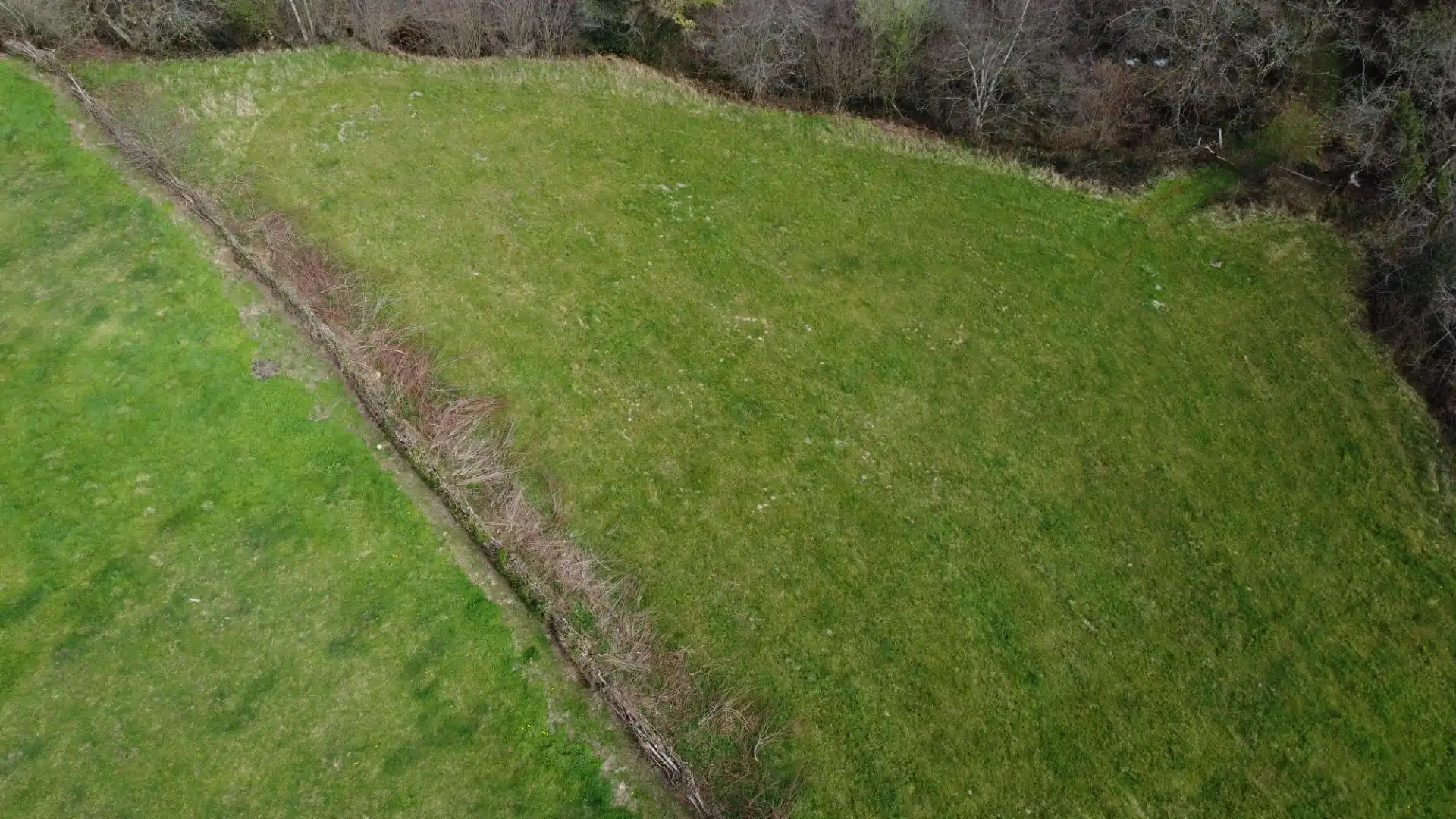 Land for sale in Riosa