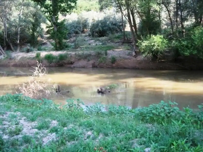 Terreni e lotti in vendita a Navas de San Juan, imagen 9