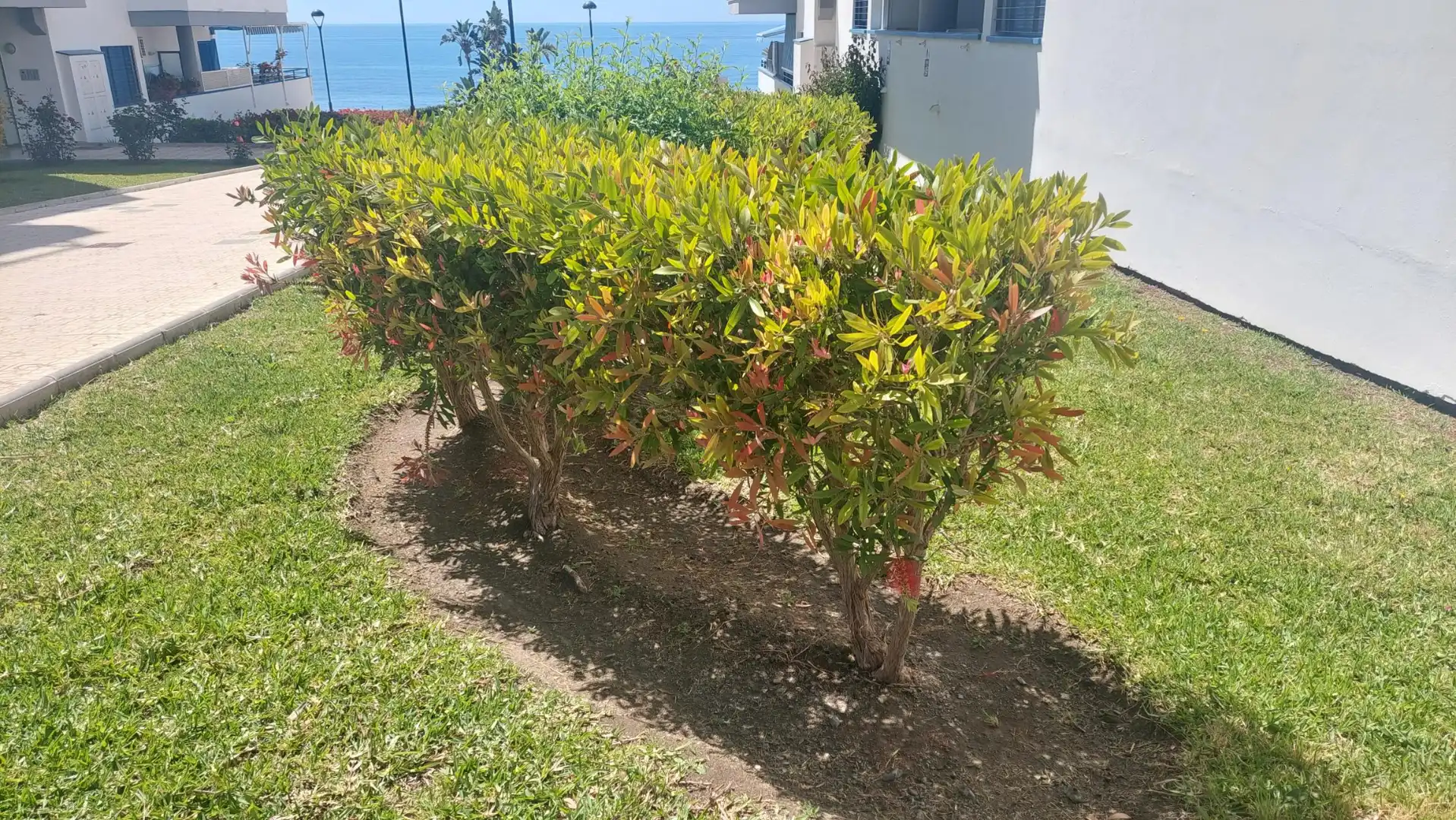 Jardín de Dúplex en venta en Torrox con Aire acondicionado, Calefacción y Terraza