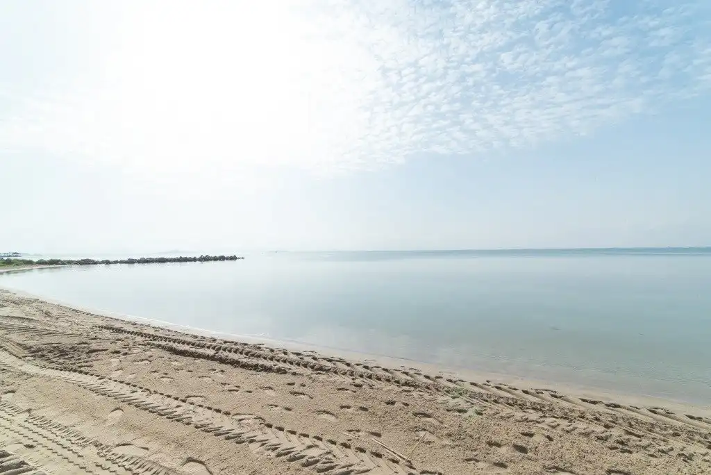 Exterior view of Flat for sale in La Manga del Mar Menor  with Terrace and Furnished