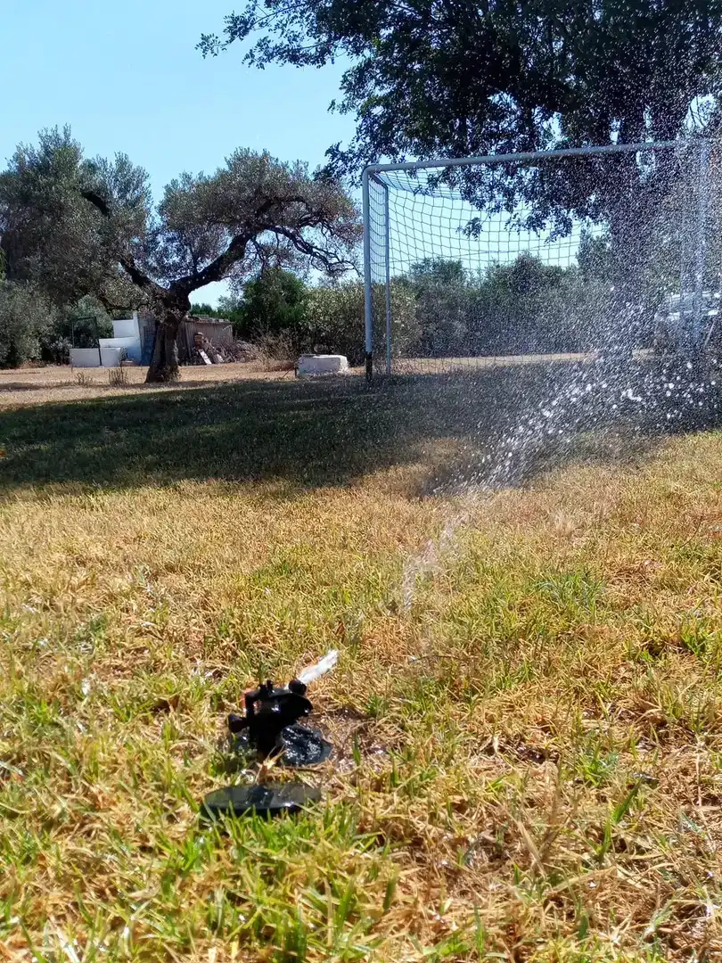 Jardín de Finca rústica en venta en Utrera con Aire acondicionado, Piscina y Amueblado