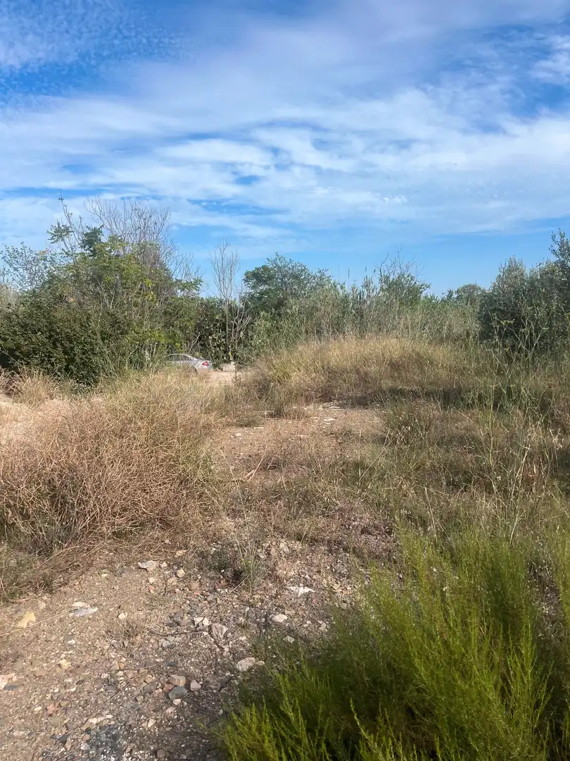 Terreno rustico in vendita a Almoster, imagen 15