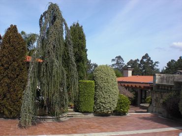 Villa con piscina in vendita a Piquetes