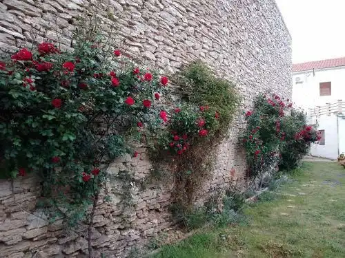 Garden of Houses for sale in Arguedas  with Air Conditioner, Private garden and Parquet flooring
