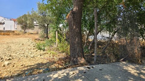 VENTA DE PARCELA URBANA EN ALISEDA (CÁCERES), imatge 2