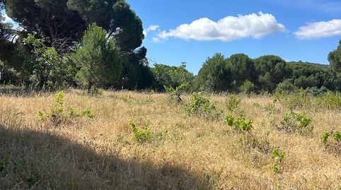 Finca rústica en Cenicientos, immagine 3