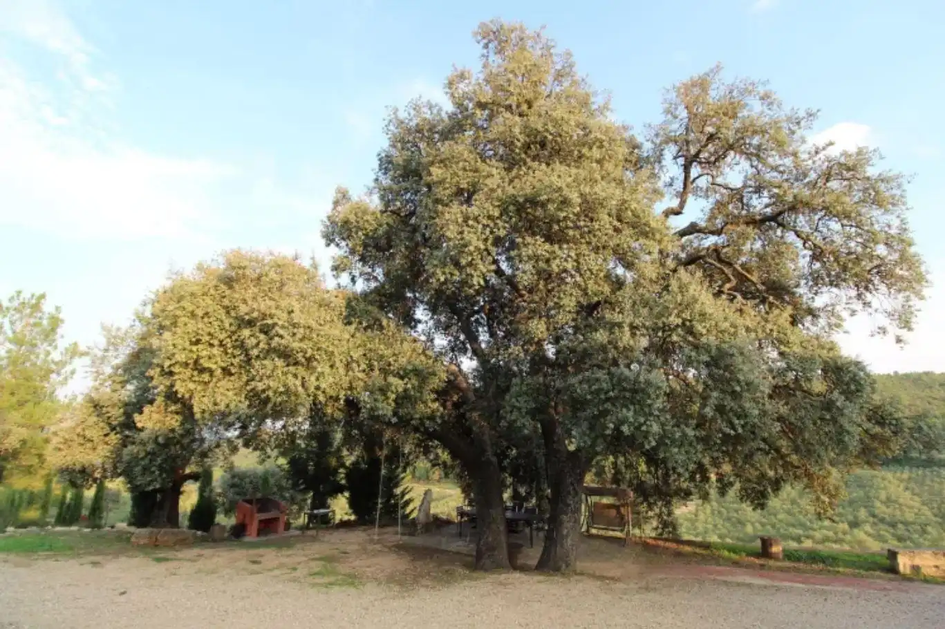 Jardín de Finca rústica en venta en Enguera con Calefacción, Jardín privado y Terraza