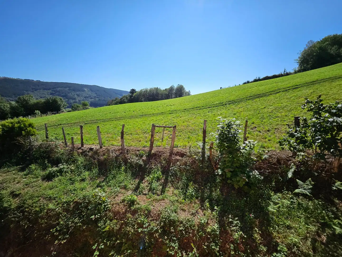 Country homes for sale in Allande