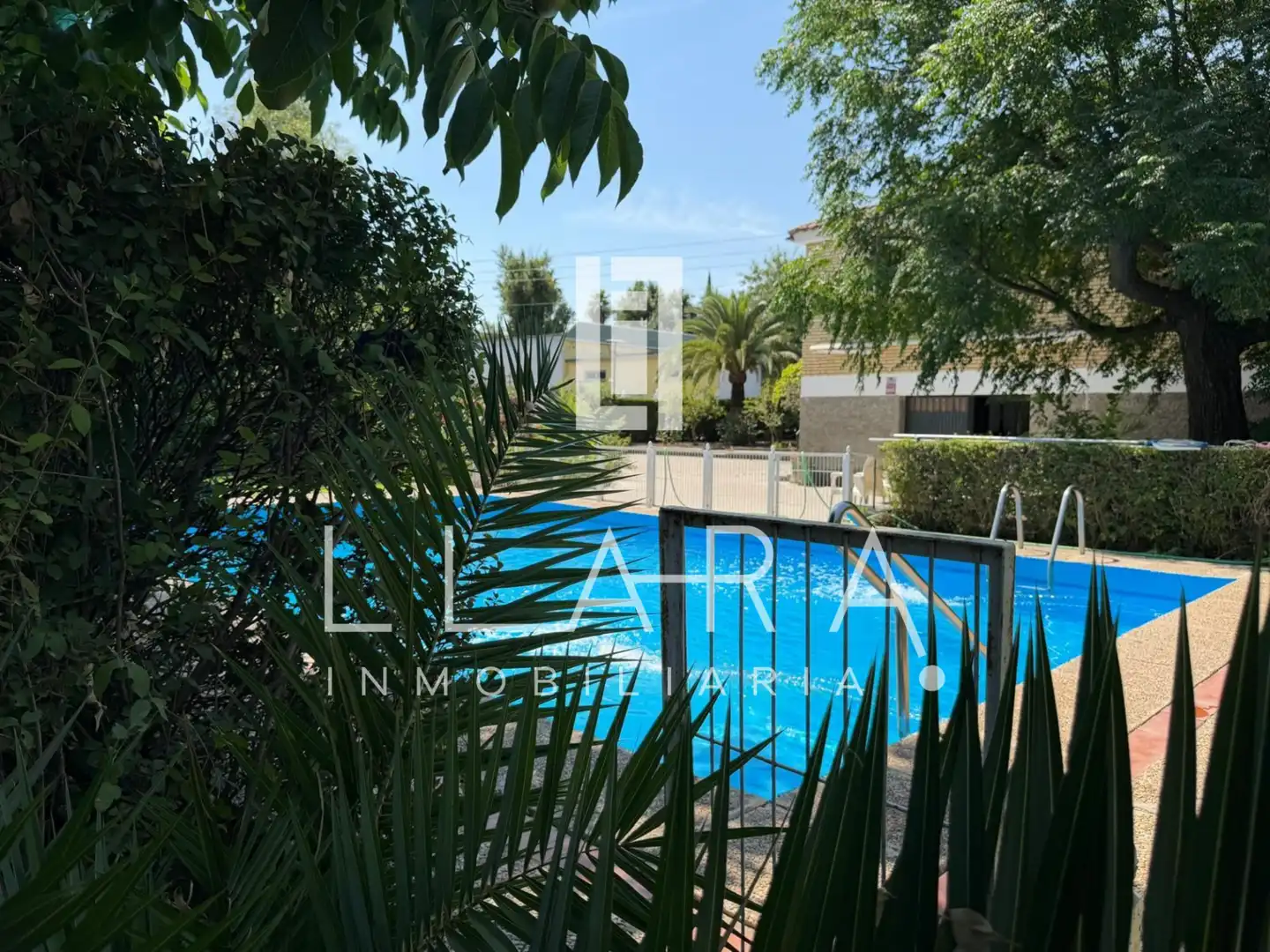 Piscina de Casa o chalet en venta en Lucena con Jardín privado, Piscina y Amueblado