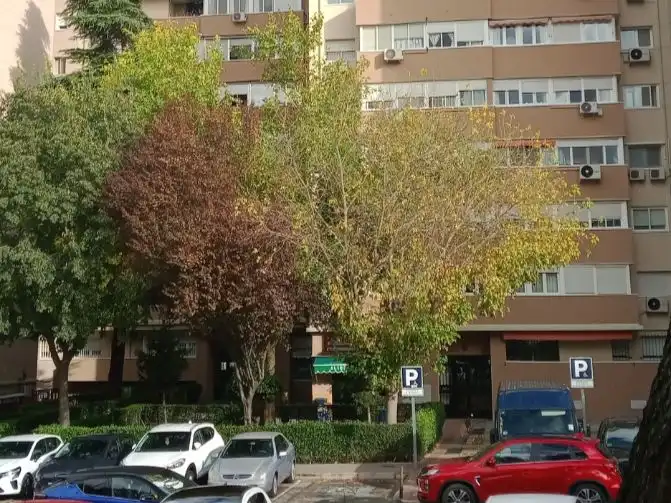 Wohnung mit Garten zum Verkauf in Calle de Barcelona 22, imagen 2
