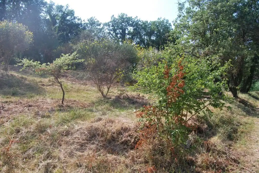 Terreny rústic en venda a Sant Celoni, imagen 5