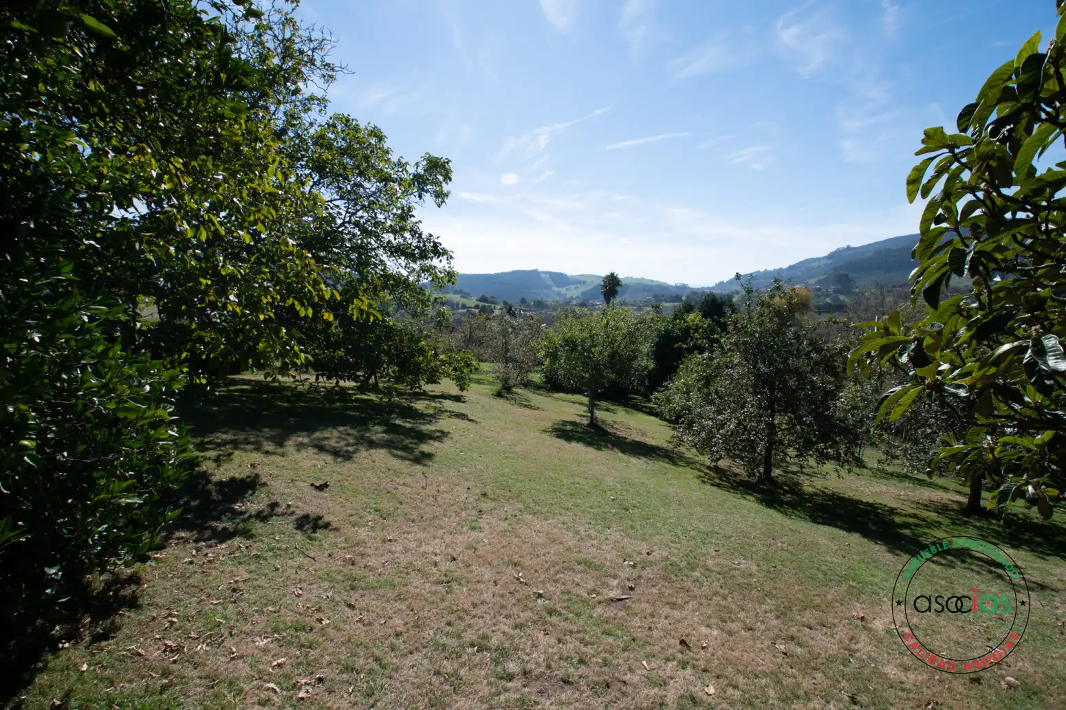 Casa o chalet en venta en Villaviciosa con Calefacción, Jardín privado y Parquet