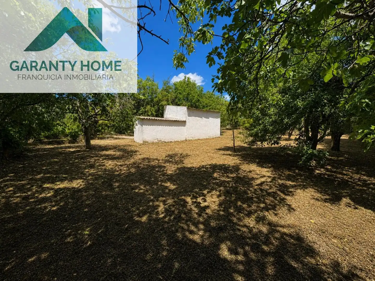 Vista exterior de Casa o chalet en venta en Martos con Jardín privado, Trastero y Piscina