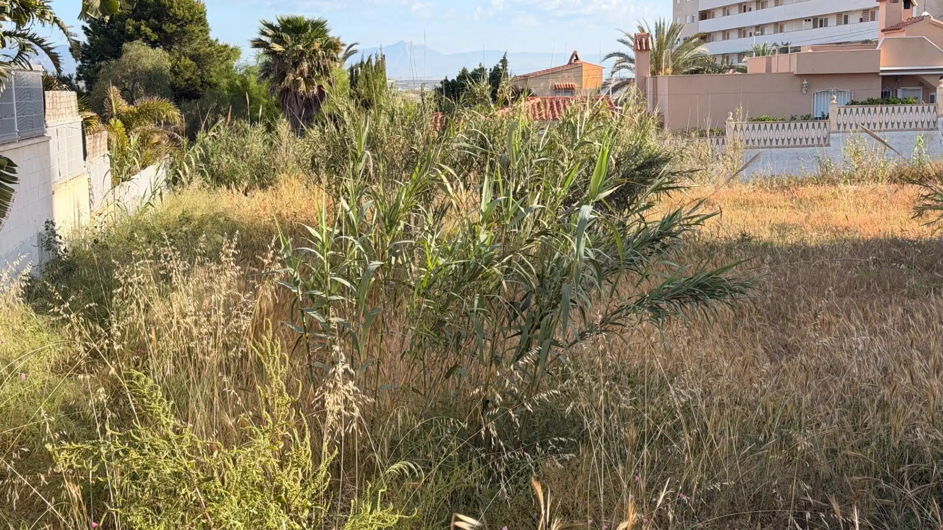 Terreno residencial en venta en Los Arenales del Sol, imagen 37