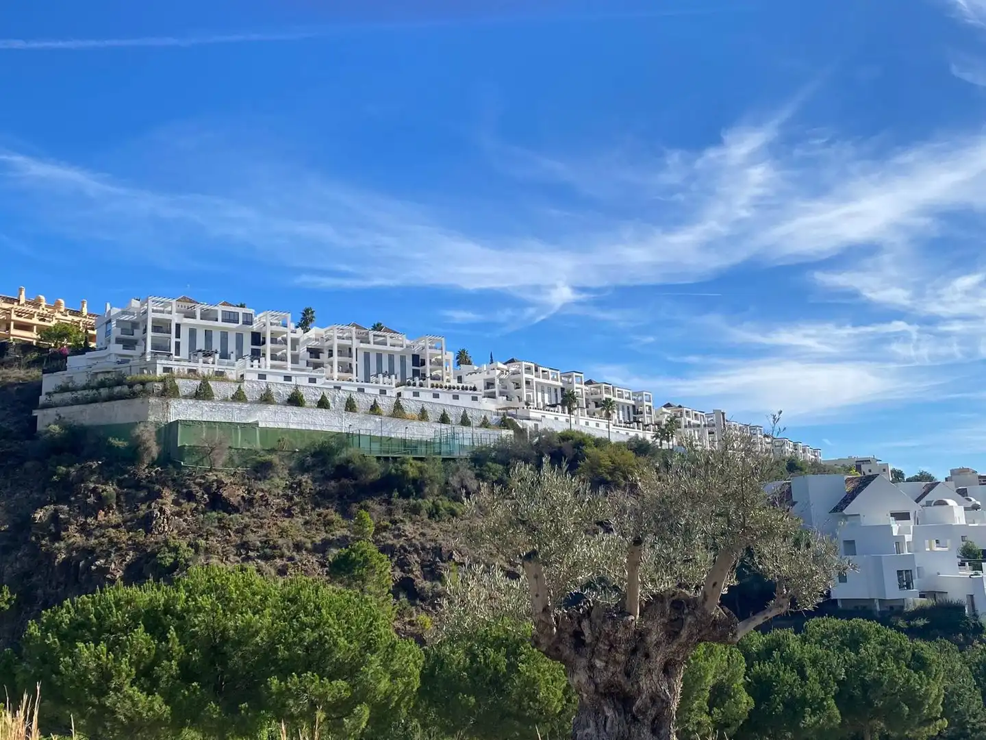 Apartment mit Pool zur Miete in FLAMINGOS 106, imagen 14