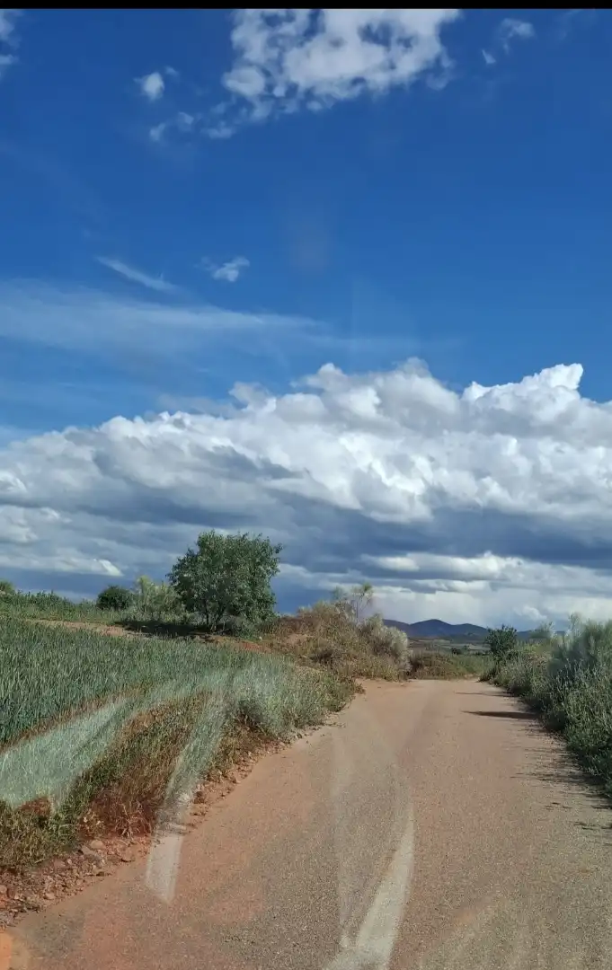 Außenansicht von Grundstücke zum Verkauf in Cariñena