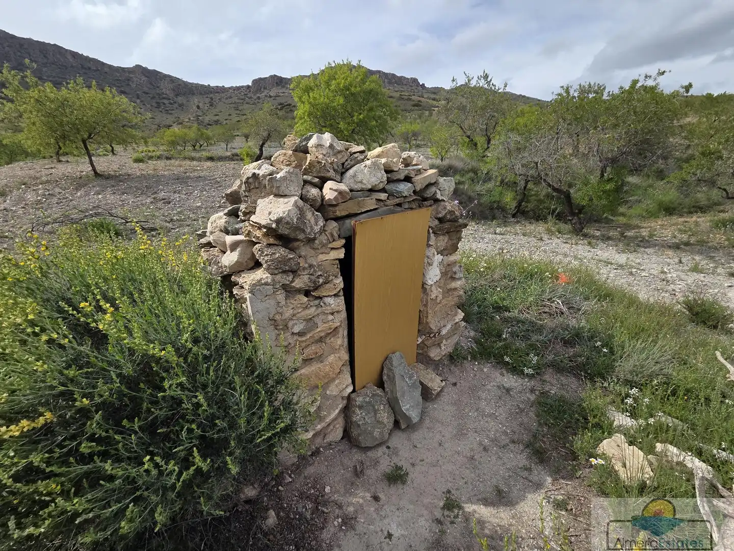 Terrenys i solars en venda a Albox, imagen 19