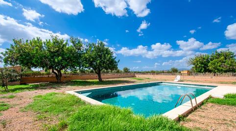 Photo 4 of Country house for sale in Camino Sa Vinya de Cas Sord Ds8431, Son Ferriol, Illes Balears